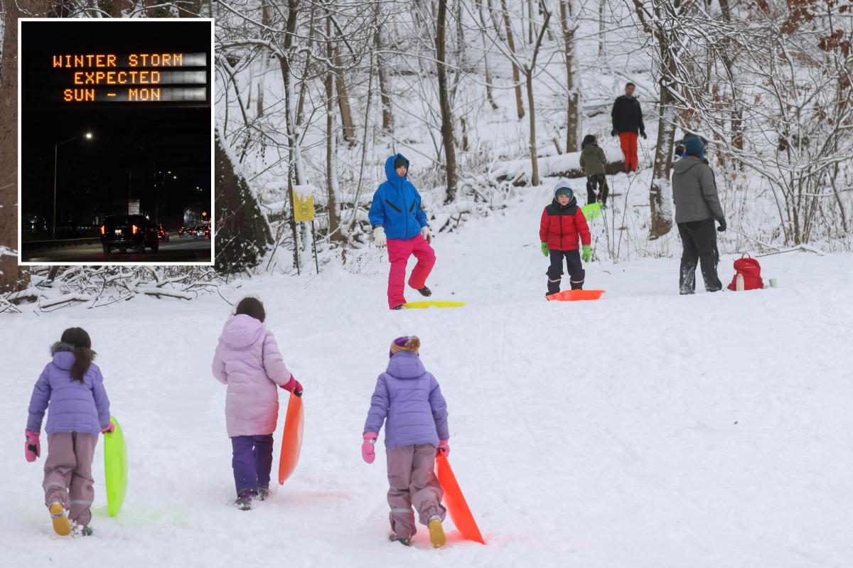 Snow-loving New Yorkers get creative with their sleds ahead of major Winter Storm Fern
