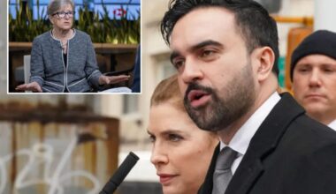 Zohran Mamdani's team treating NYC businesses as 'the enemy' in early goings, top leader says