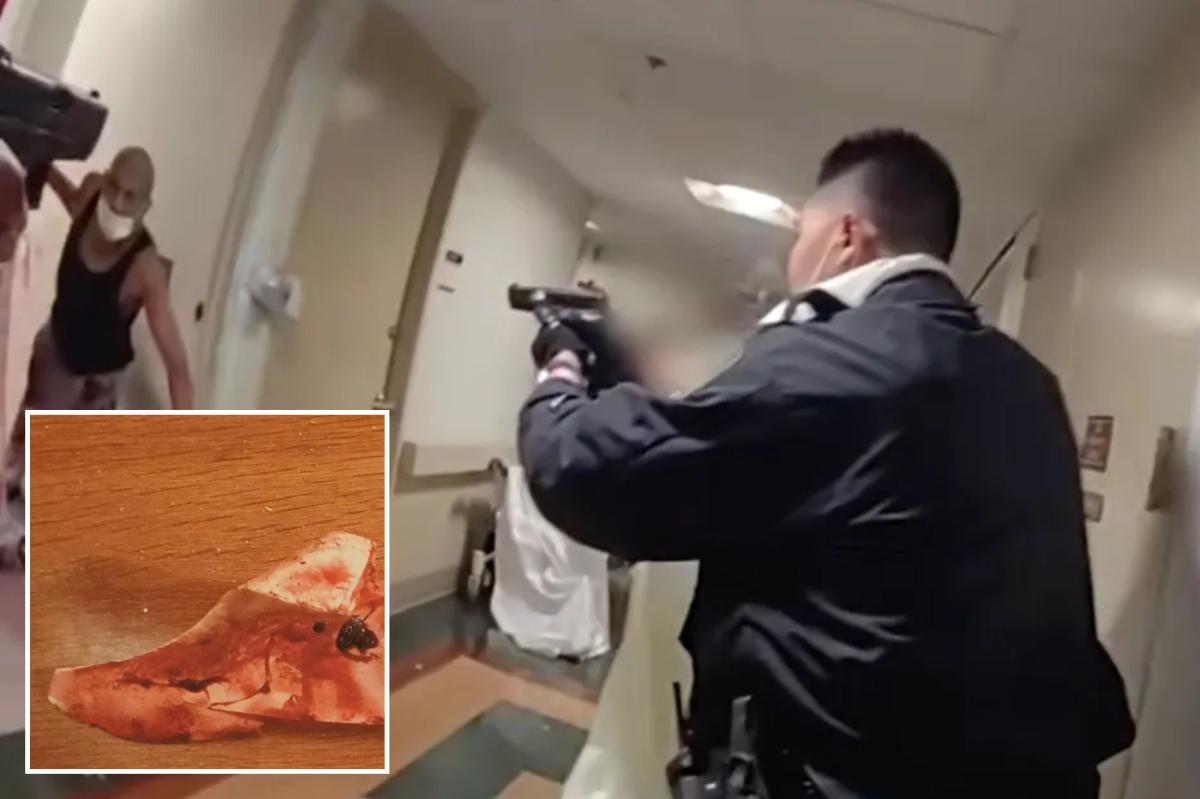 Chaotic body-cam shows fatal police shooting of blade-wielding patient inside NYC hospital