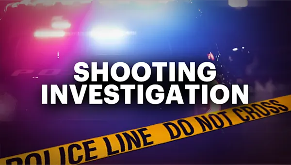 News 12 | Brooklyn | 2 men shot in Bushwick disarm gunman, police say