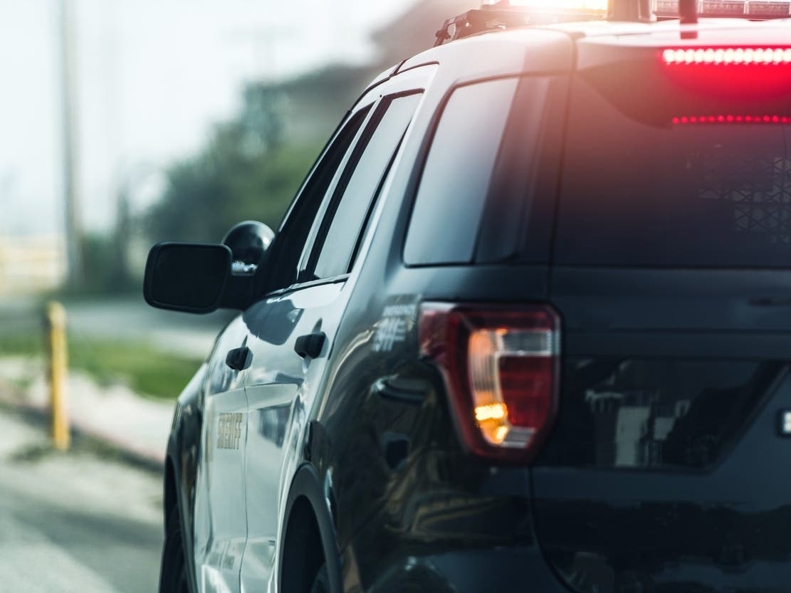 Queens Woman Facing Kidnapping Charge After Fleeing Supervised Visitation: Police