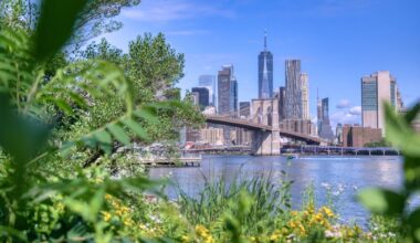 New York City Bluebelts Are a Quiet Fix for Flooding – One Green Planet