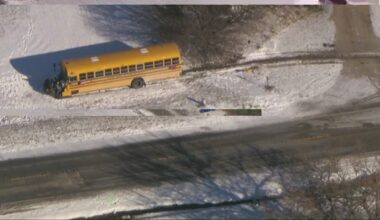 Driver killed after car collides with school bus in Will County