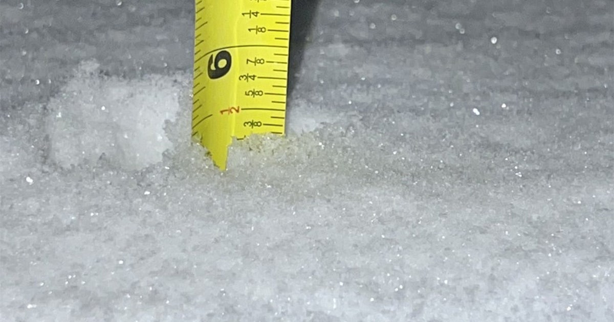 How many inches of snow fell in NY, NJ, CT?