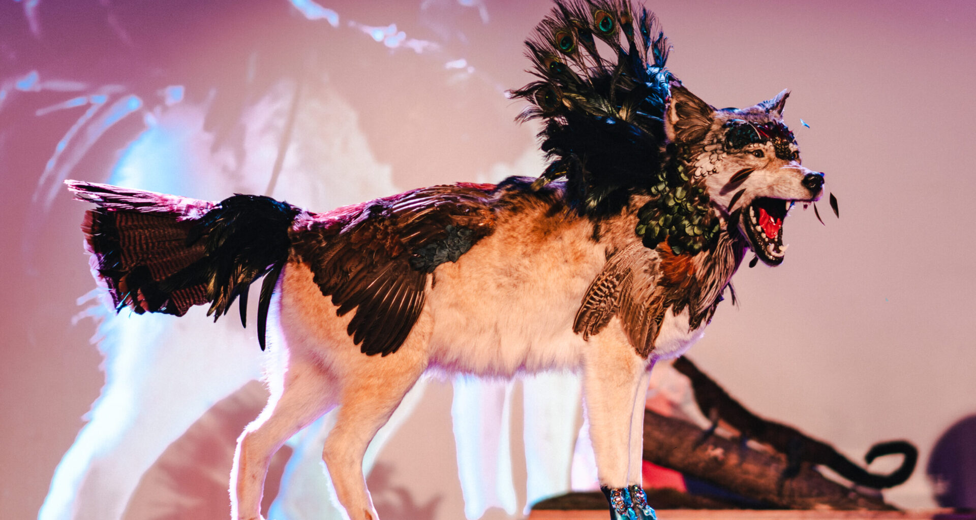 Wunderkammer is an annual taxidermy showcase in Brooklyn. Photo by Luis Suar