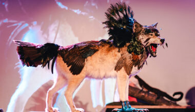 Wunderkammer is an annual taxidermy showcase in Brooklyn. Photo by Luis Suar