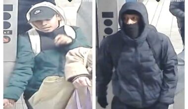 Suspects snatch $3K worth of merch from Sunglass Hut in Queens Center Mall: NYPD – QNS