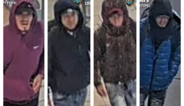 Four suspects steal $30K worth of merch from Sunglass Hut at Queens Center Mall: NYPD – QNS