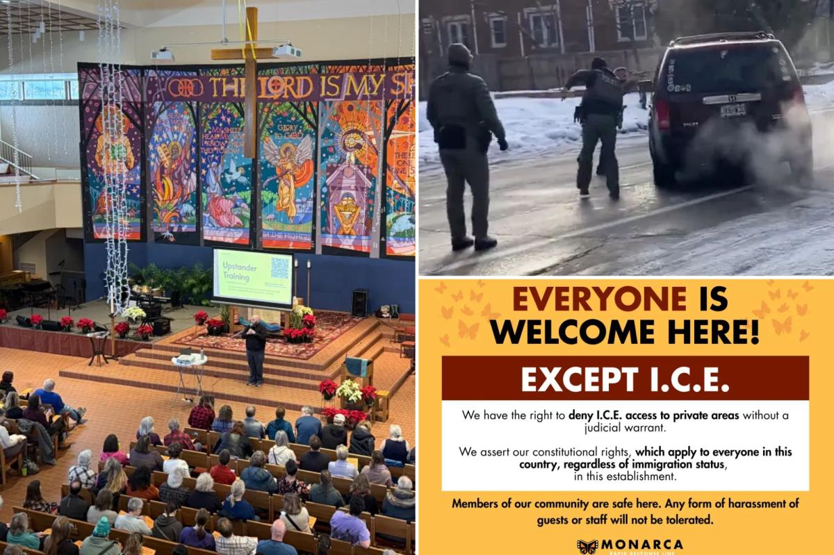 Minnesota activist group 'Monarca' training civilians to follow ICE agents and is ramping up activities: 'showing in force'