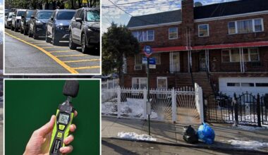 Wakefield in the Bronx filed the most 311 complaints in 2025