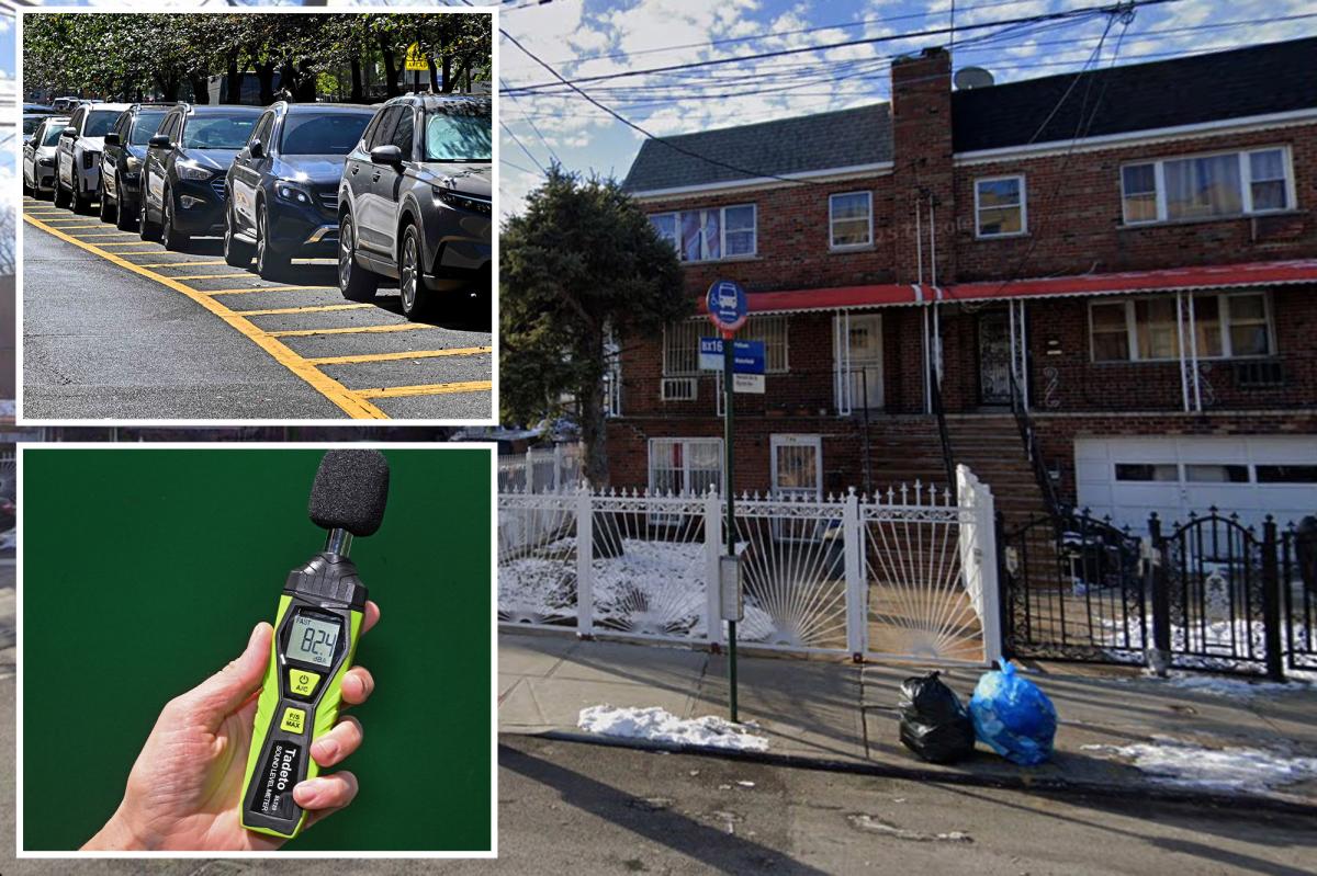 Wakefield in the Bronx filed the most 311 complaints in 2025