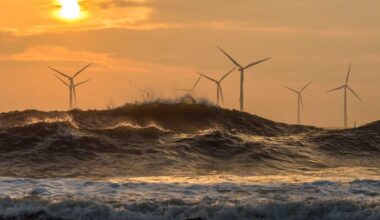 ed | Hochul must not abdicate New York’s climate commitments – amNewYork