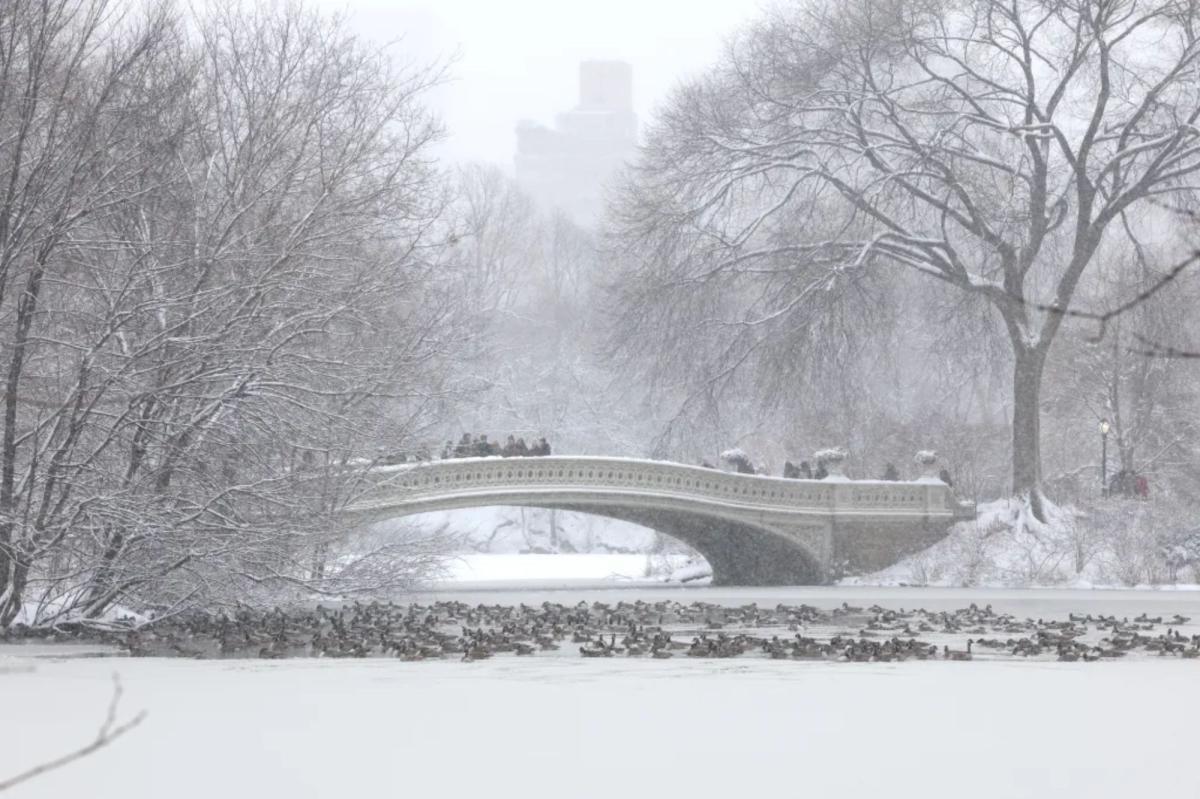 NYC wakes up to artic temperatures ahead of Winter Storm Fern