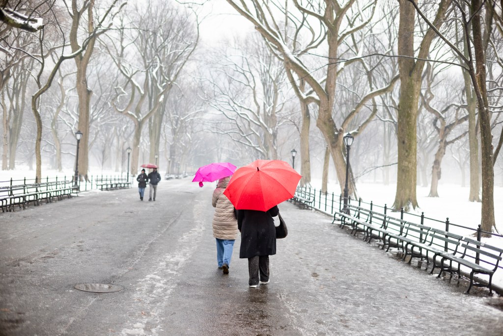 People walking with umbrellas on a snowy path in Central Park.