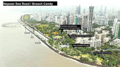 After Queen’s Necklace, city set to get 70-ha ‘green necklace’ along Coastal Road