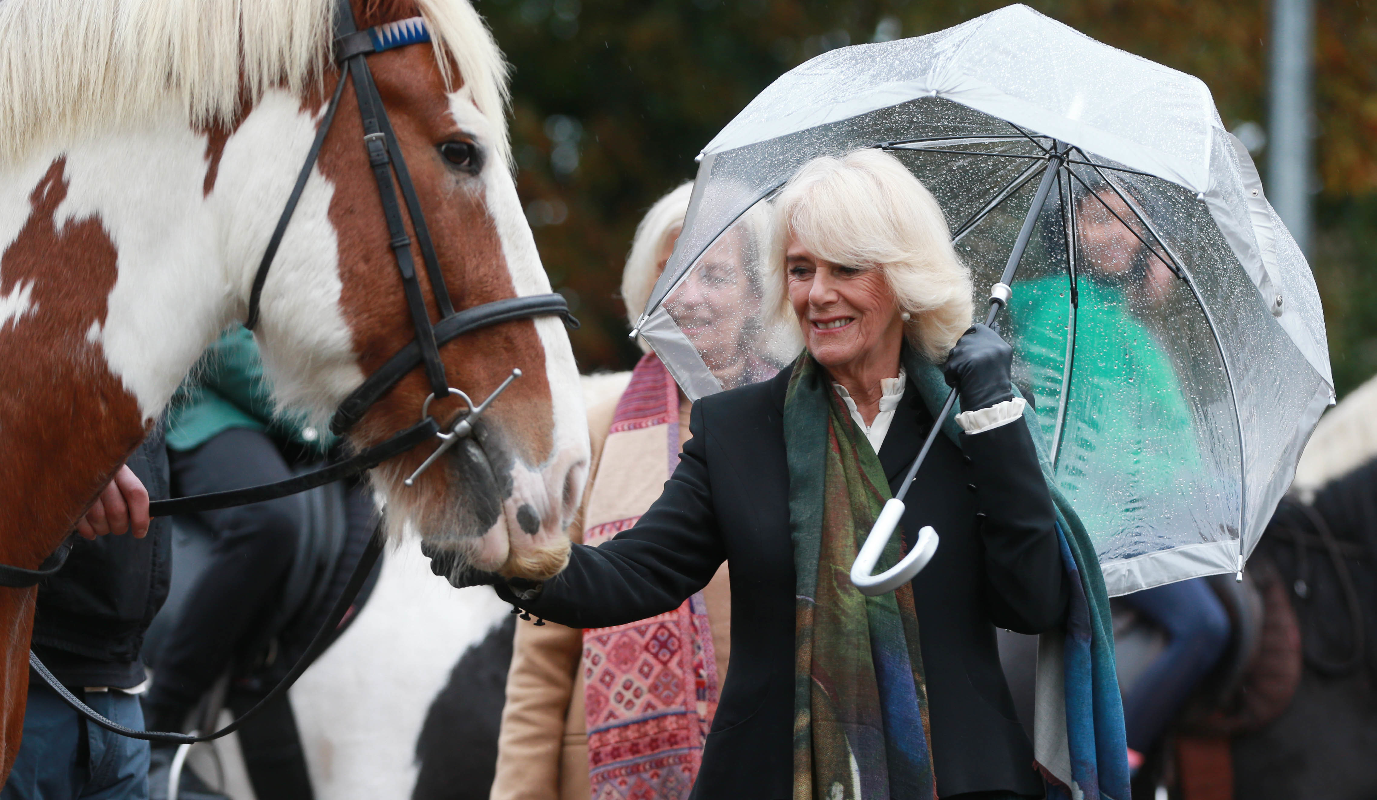 Duchess of Cornwall Camilla petting a horse while holding an umbrella.