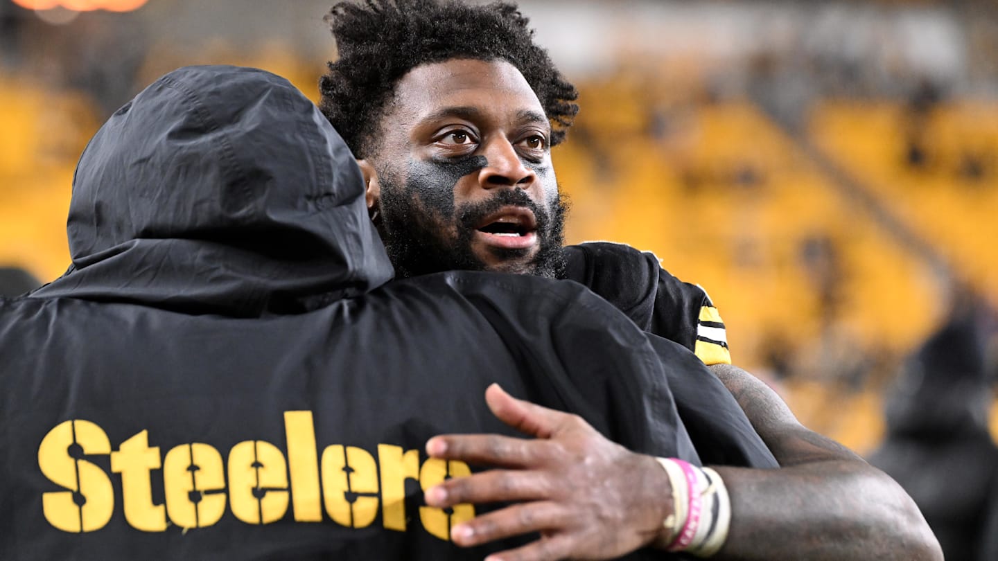 Pittsburgh Steelers linebacker Patrick Queen (6)