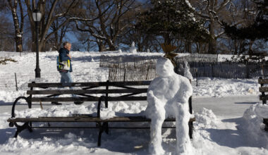 Snowy Park Complaints Pile Up After Blizzard