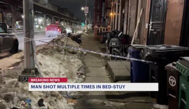 News 12 | Brooklyn | Man shot multiple times in the legs in Bed-Stuy