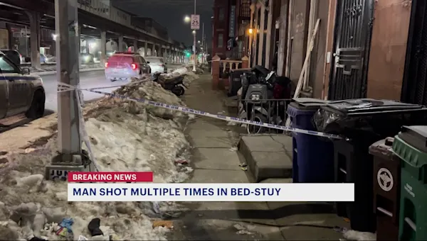 News 12 | Brooklyn | Man shot multiple times in the legs in Bed-Stuy