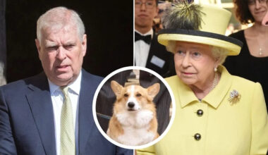 Yahoo entertainment home