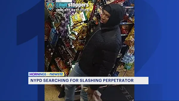 News 12 | Brooklyn | Man slashed in the face in January, suspect at large in Bed-Stuy