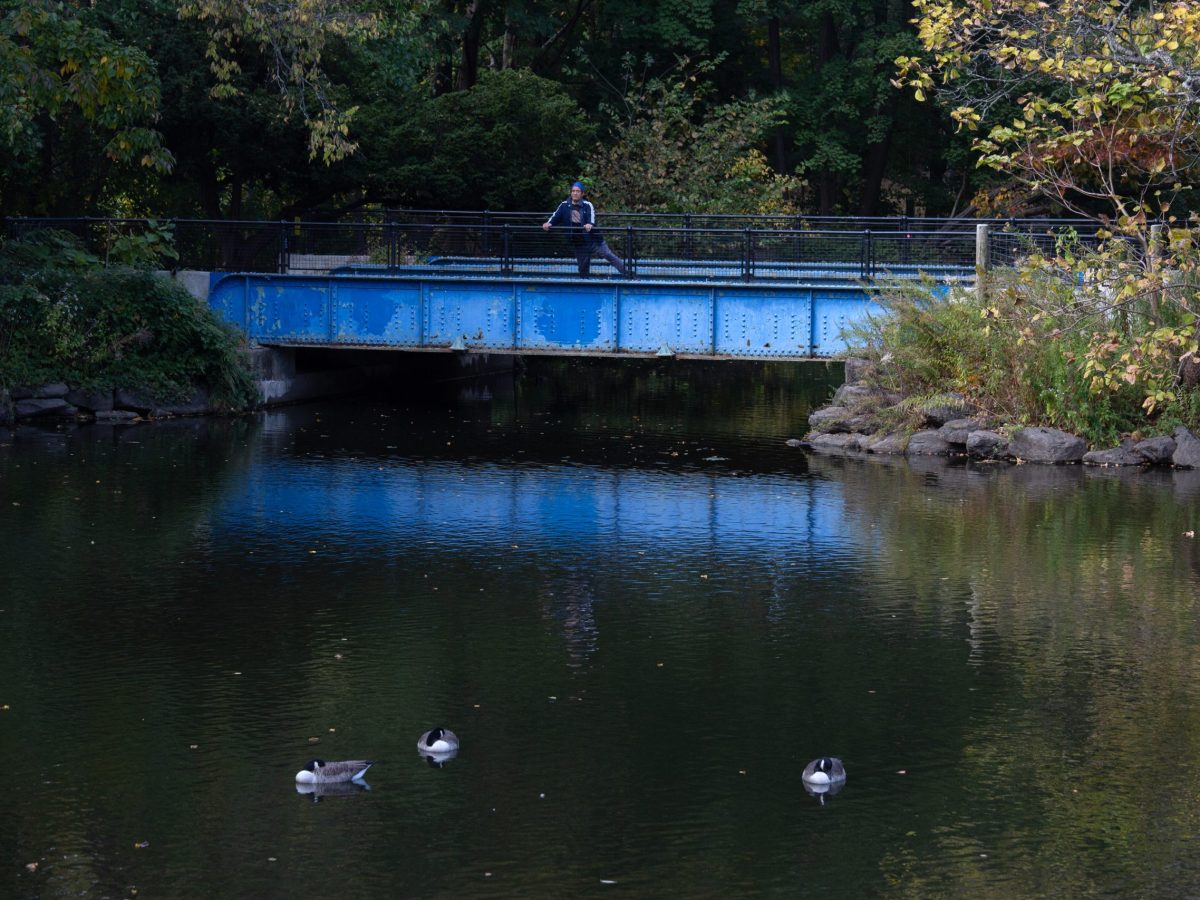 Bronx and Manhattan Get $27M in State Water Grants After THE CITY Exposed Bond Act Funding Drought