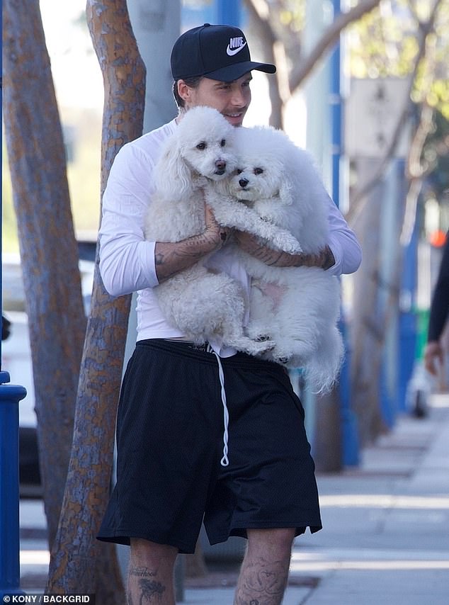 The outing comes just weeks after Brooklyn called his mother Victoria Beckham's lack of support for dogs in his bombshell statement which saw him cut all ties with his family