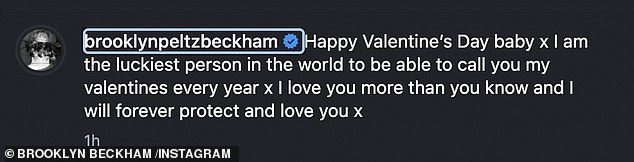 Brooklyn Beckham has declared he 'will forever protect' wife Nicola Peltz in the latest dig at his family amid their ongoing feud