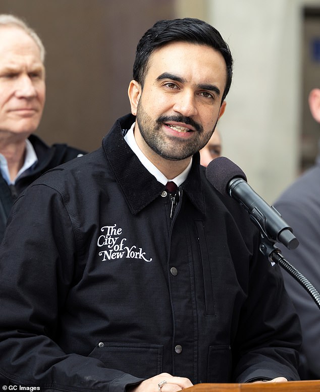 New York City Mayor Zohran Mamdani was the subject of criticism online after he called for New Yorkers to sign up to be emergency snow shovelers when the position requires two forms of identification. Mamdani is pictured above at a press conference on the storm on Saturday