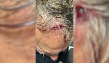 Video shows wild altercation at popular Burrito Bar in Brooklyn. Here's what we know.