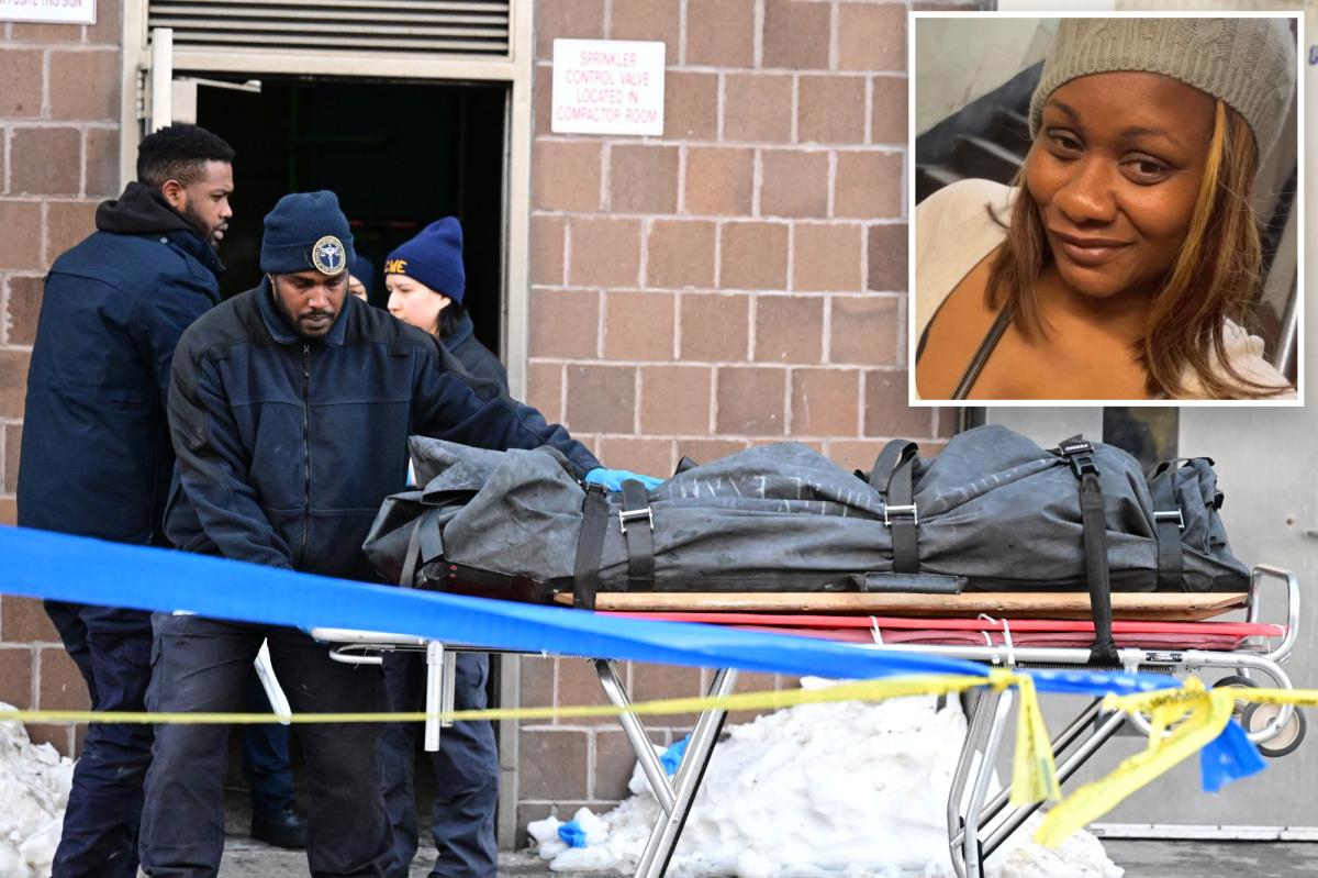 Chopped-up body parts found in bag belonged to married NYC mom of four: cops, kin
