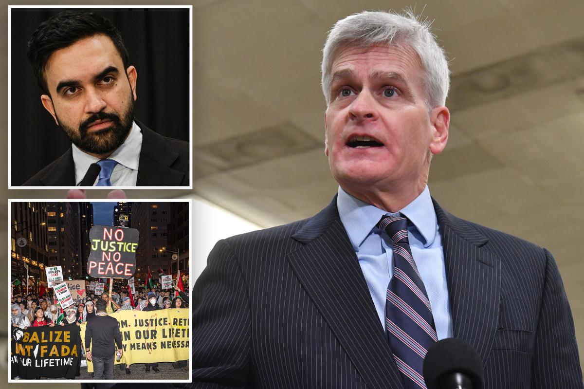 Senate launches probe of Mamdani's anti-Israel orders, threatens NYC's federal funding