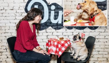 NYC canine cafe offers Valentine's Day dates with dogs