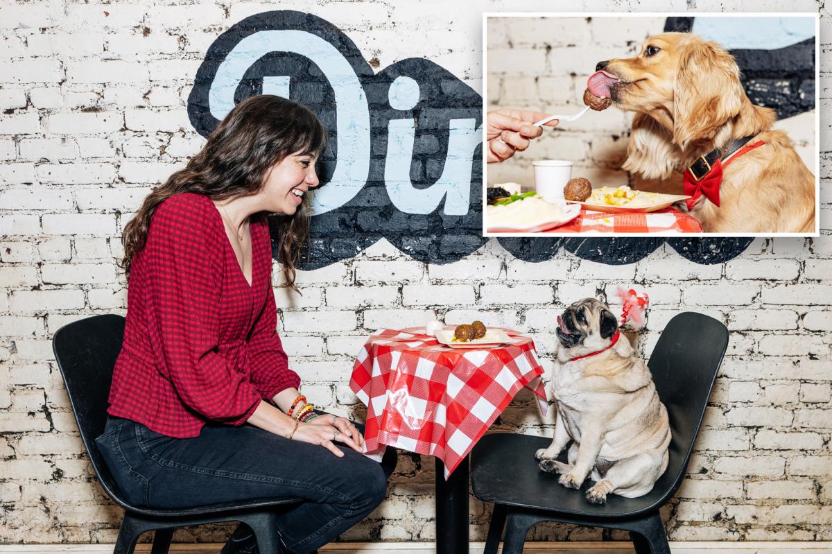 NYC canine cafe offers Valentine's Day dates with dogs