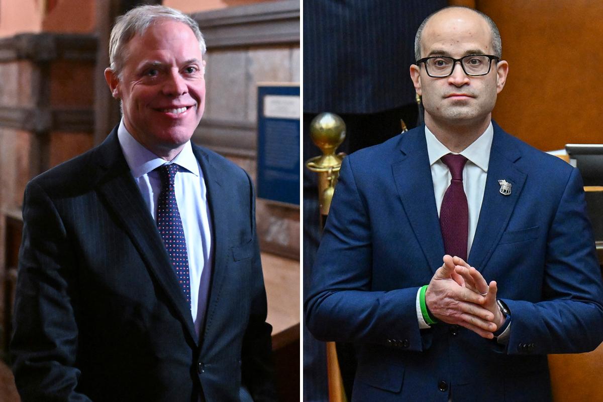 Long Island's Ed Ra chosen as GOP leader of New York Assembly