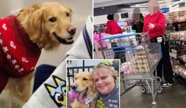 New York Walmart shopper allegedly followed by store workers all because service dog was off-leash