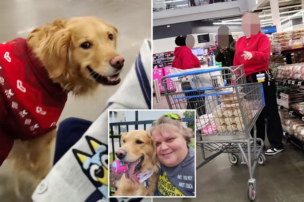 New York Walmart shopper allegedly followed by store workers all because service dog was off-leash