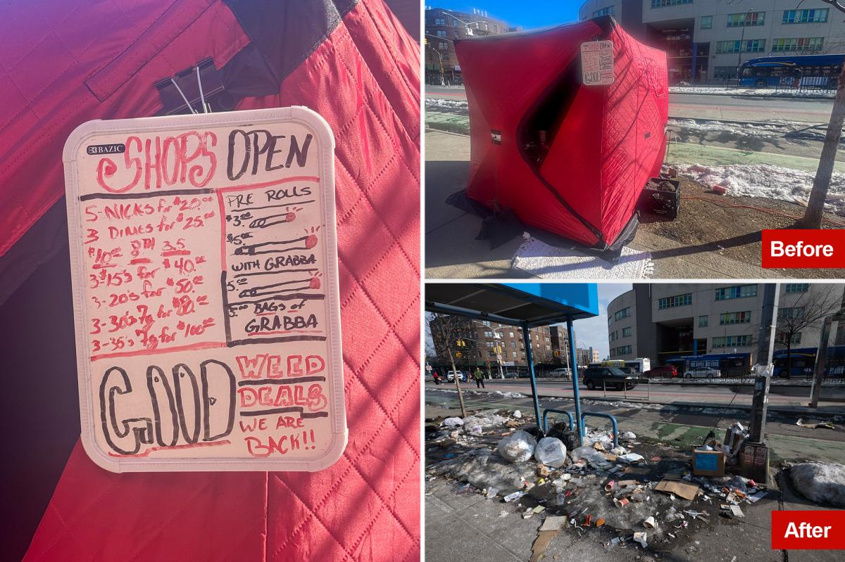 Bronx 'drug igloos' shut down by cops, but menacing 'weed dealers' threaten Post scribes, vow to return