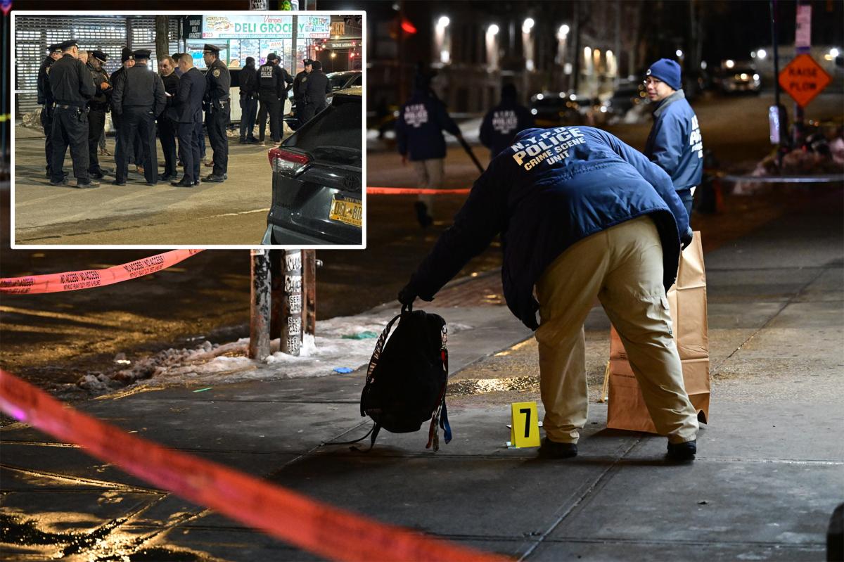 Teen, 17, arrested on murder charges in Bronx shooting that killed 16-year-old