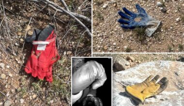 Multiple additional gloves found by The Post in same area near Nancy Guthrie's house where FBI found potential evidence