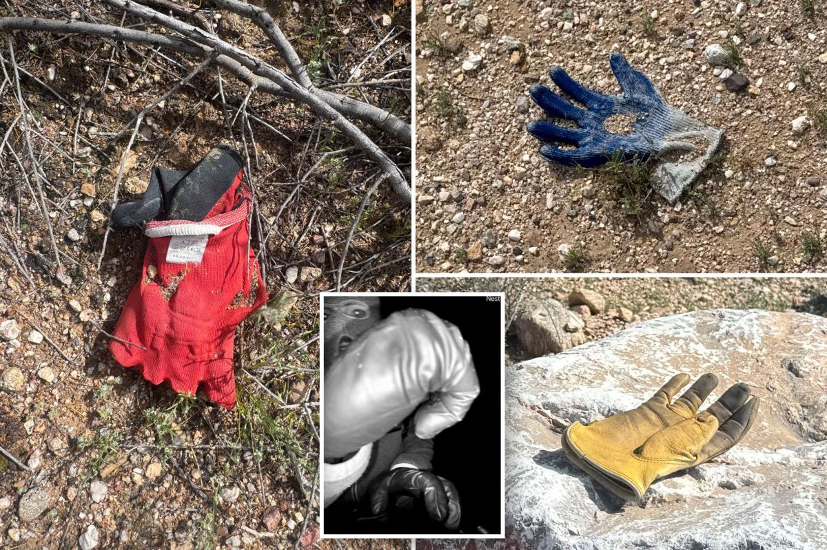 Multiple additional gloves found by The Post in same area near Nancy Guthrie's house where FBI found potential evidence