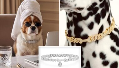 Million Dollar jewelry for dogs is latest luxury trend coming to Beverly Hills