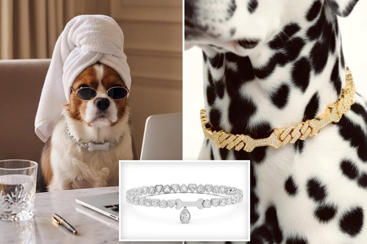 Million Dollar jewelry for dogs is latest luxury trend coming to Beverly Hills