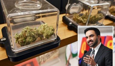NYC high on its own supply as pot taxes skyrocket — but cannabis insiders say it can be higher