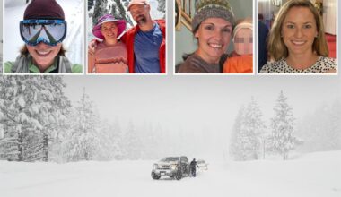 'We are devastated beyond words'