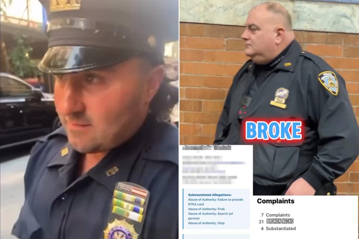 NYC cops harassed, doxxed by social media agitators prompt calls for change