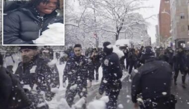 NYC punk arrested in NYPD snowball attack