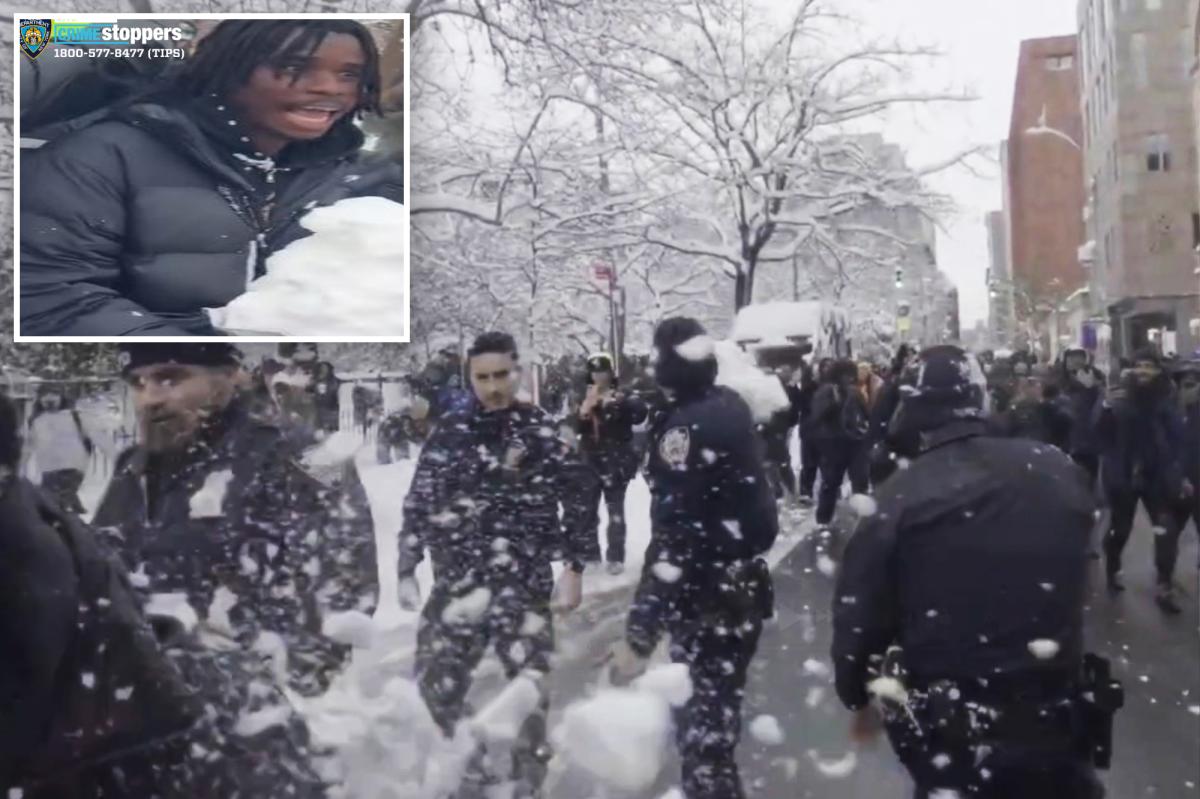 NYC punk arrested in NYPD snowball attack