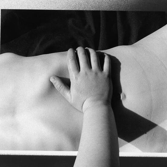 From The New York Times Opinion...